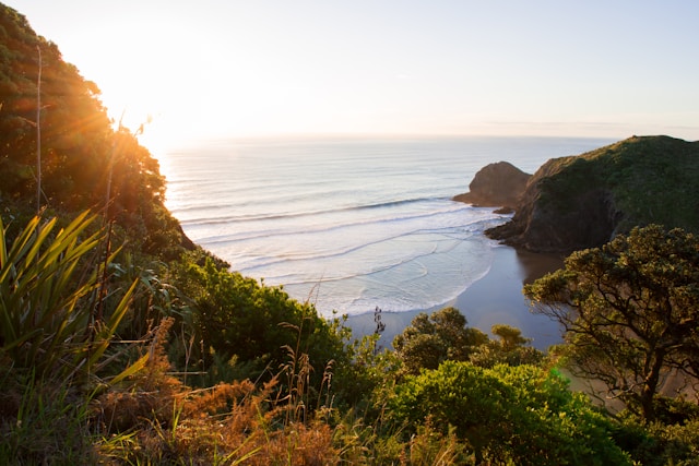 White's Beach, New Zealand